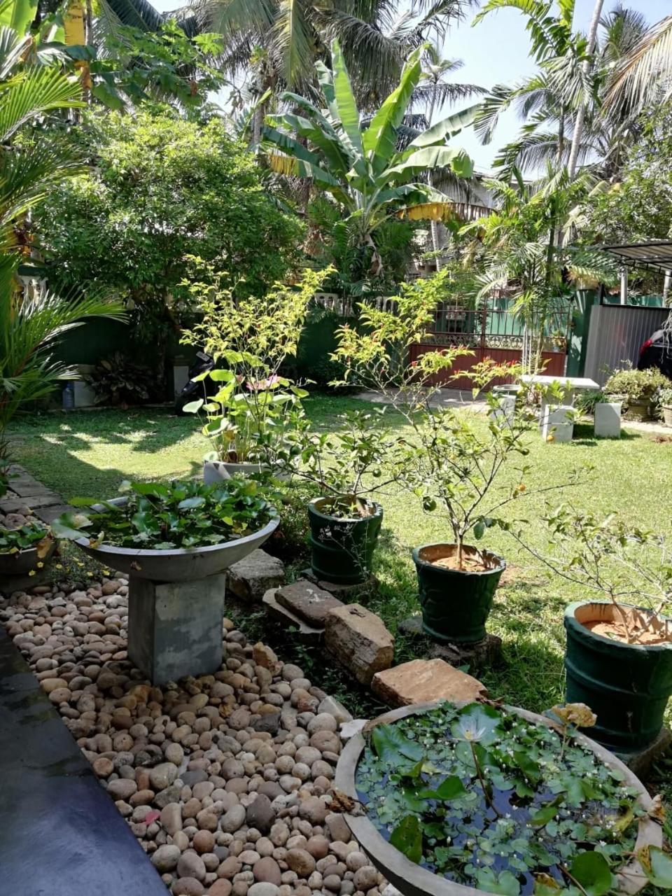 Serenity Villa Hikkaduwa Εξωτερικό φωτογραφία